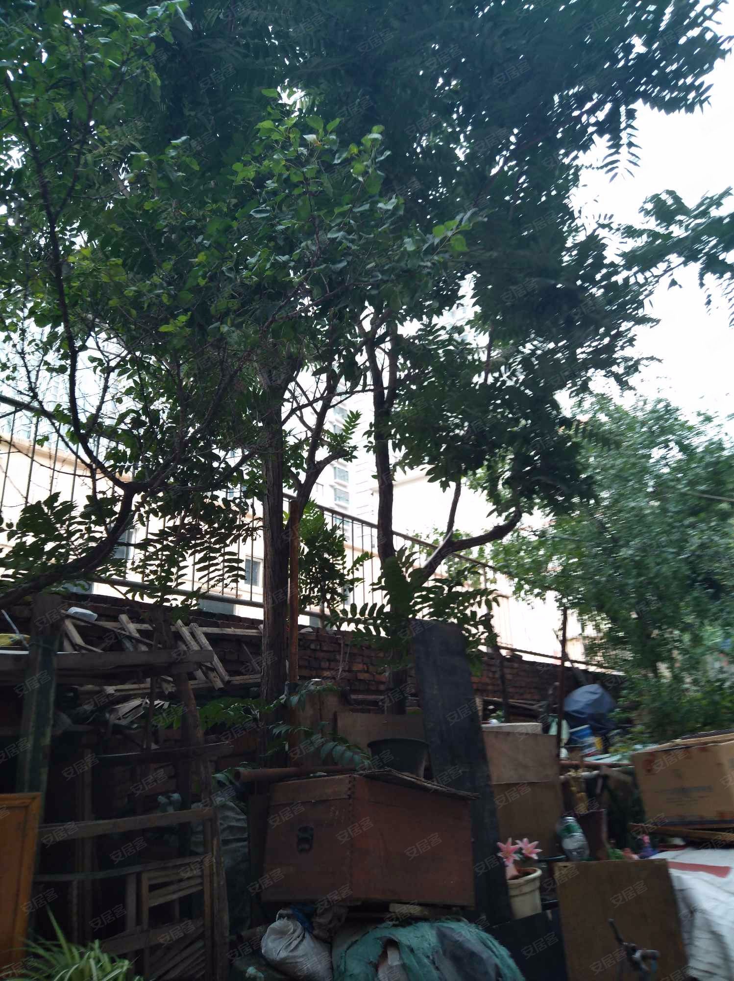 市建一公司宿舍