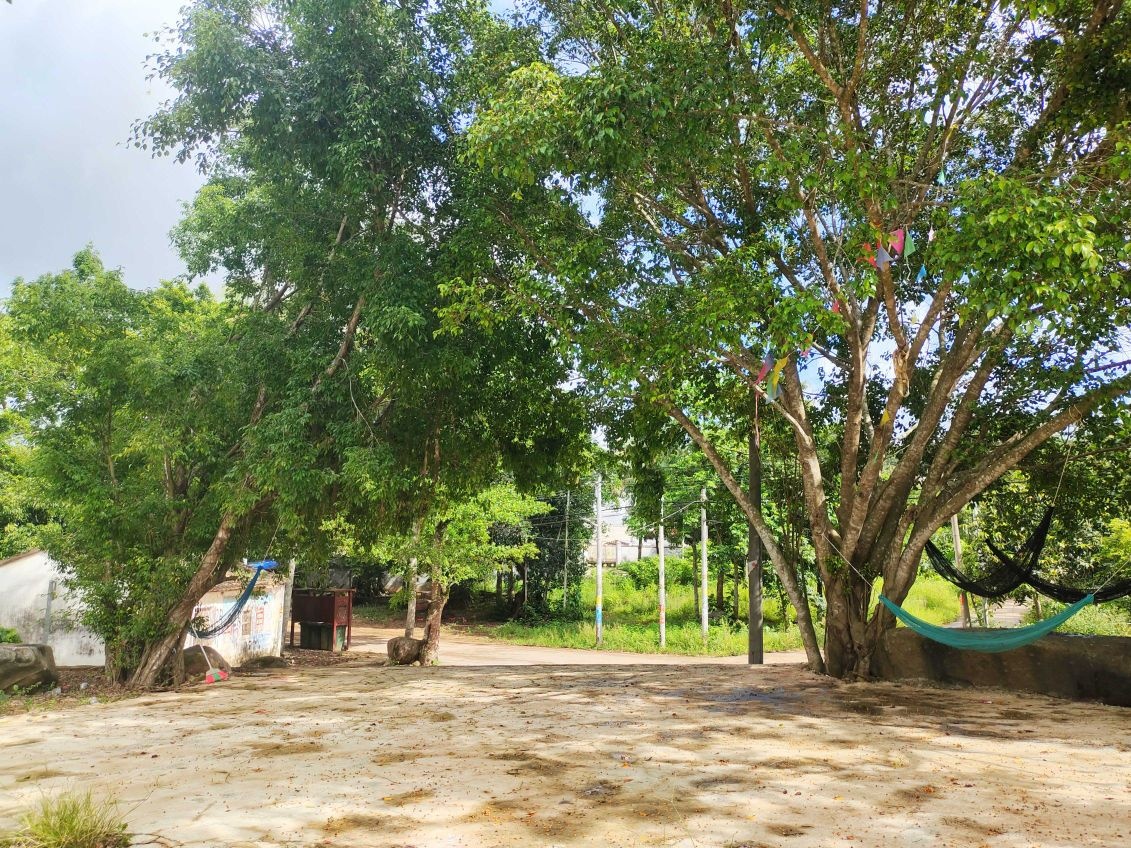 新昌村