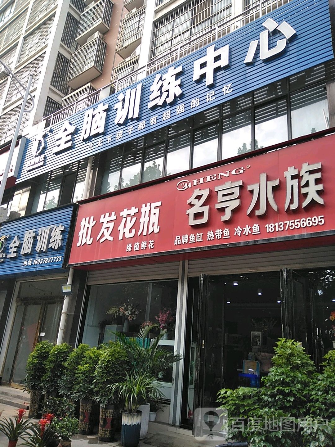 名亨水族(金山路店)