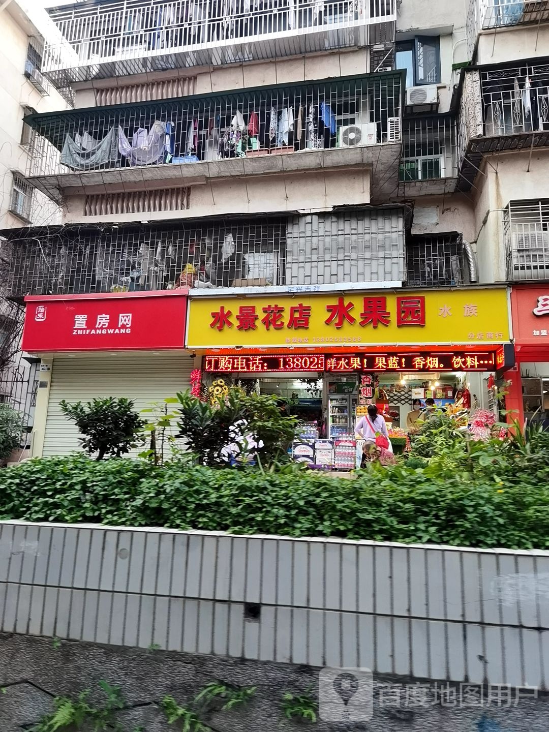 怡景水景花店水族(龙屋店)
