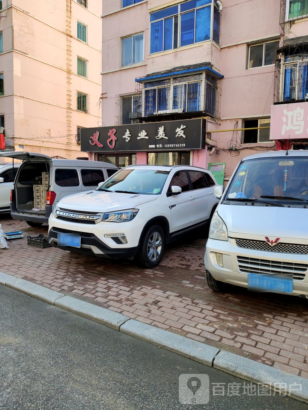 义子专业没发