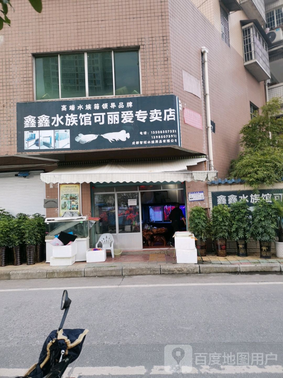 鑫鑫水族馆可丽爱专卖店