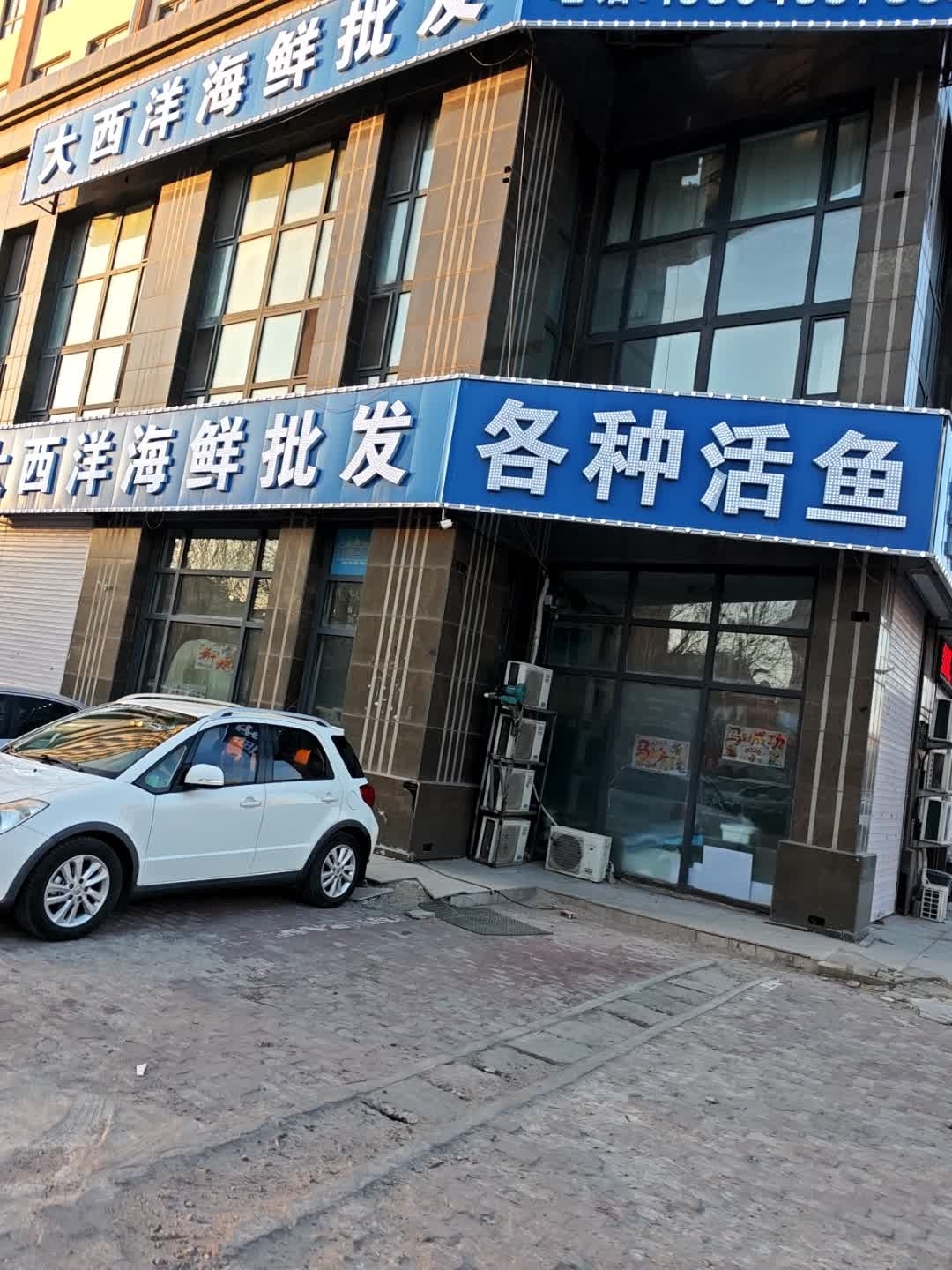 各种活鱼