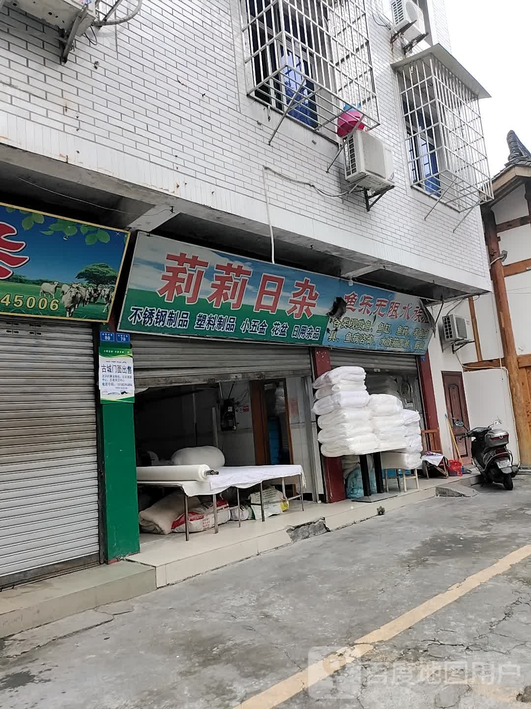 鱼乐无限水族店(合壁井巷店)