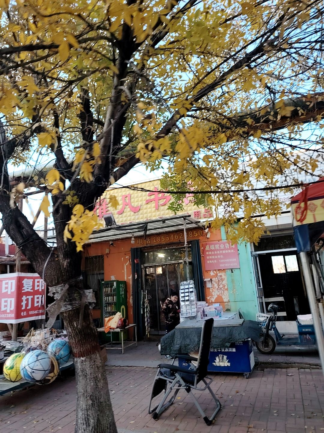 雅凡书园