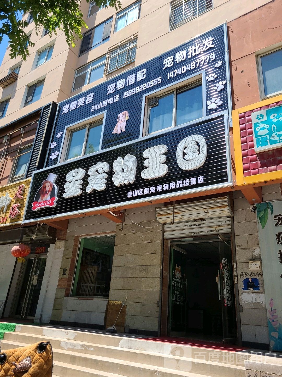 连山区星宠宠物用品经营店