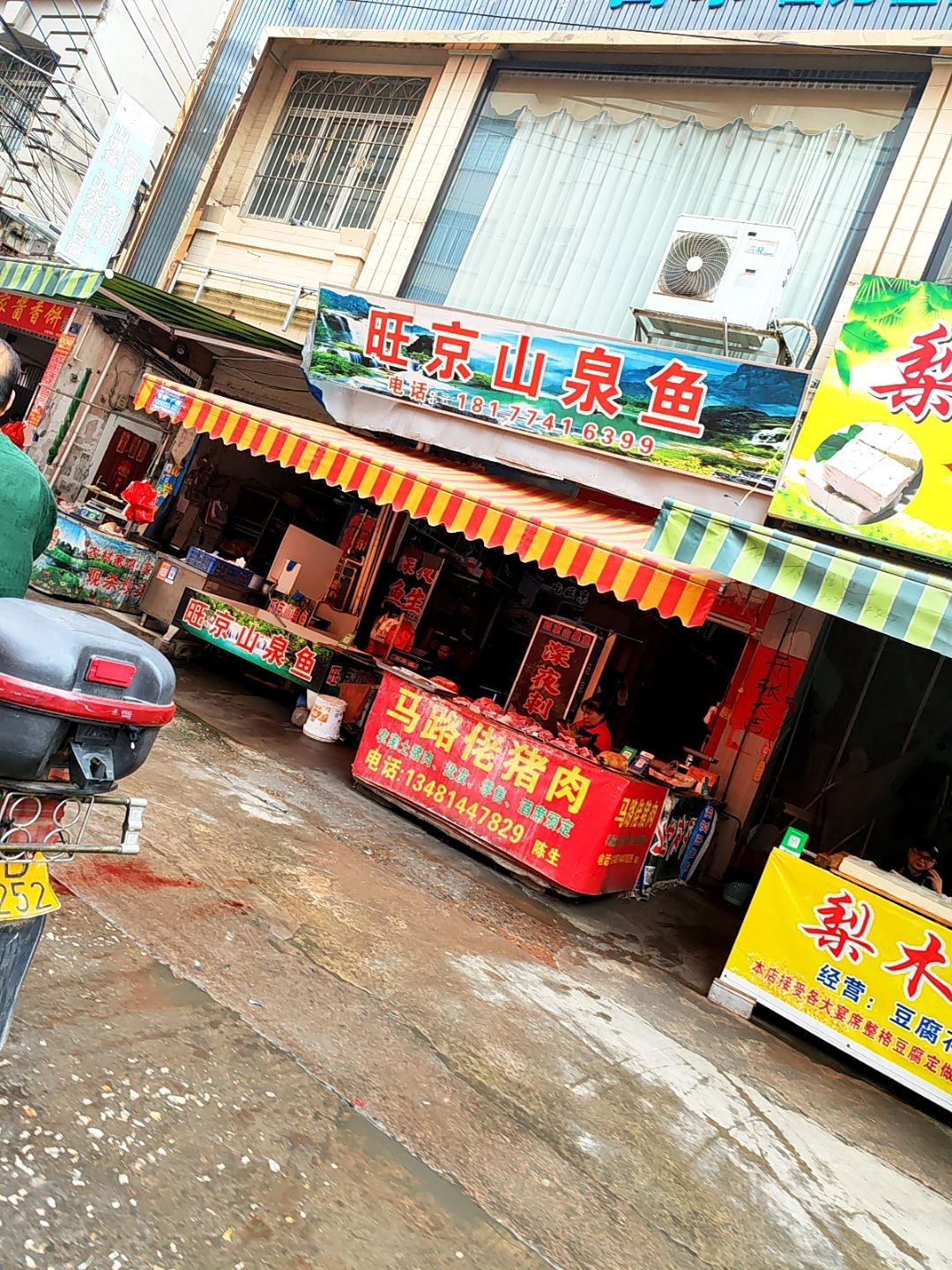 旺京山泉鱼(明都新城店)