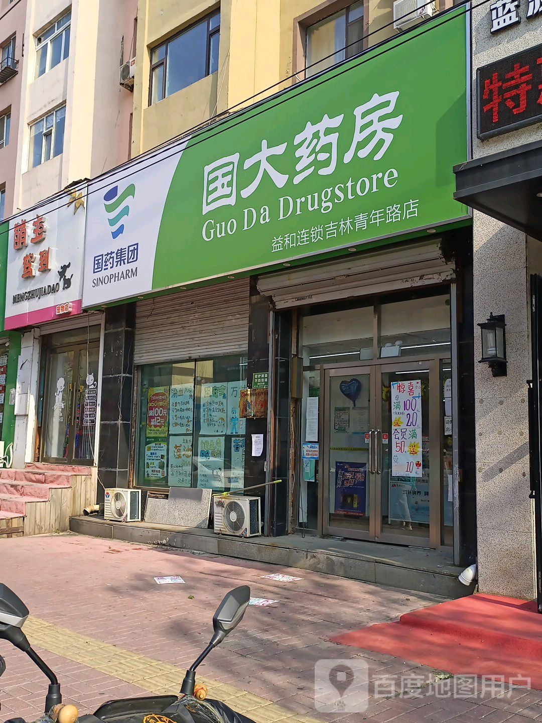 萌主驾到宠物店