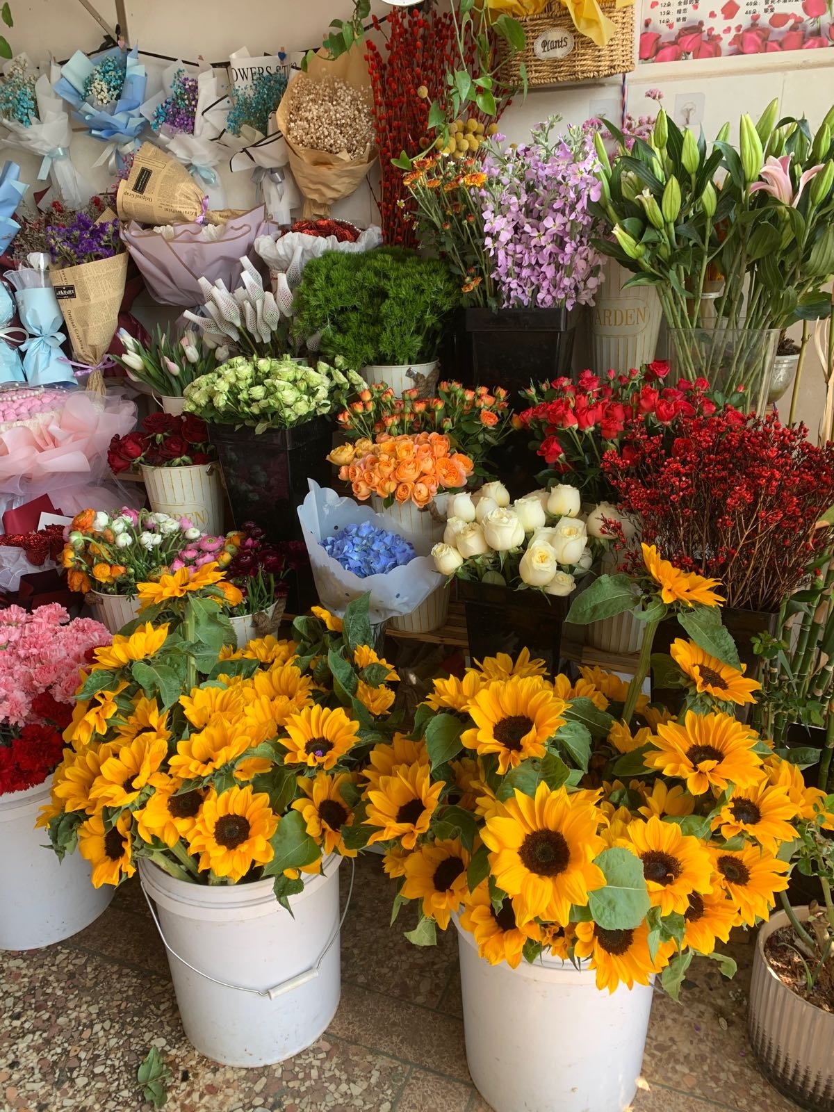 灿若花海(牛街店)