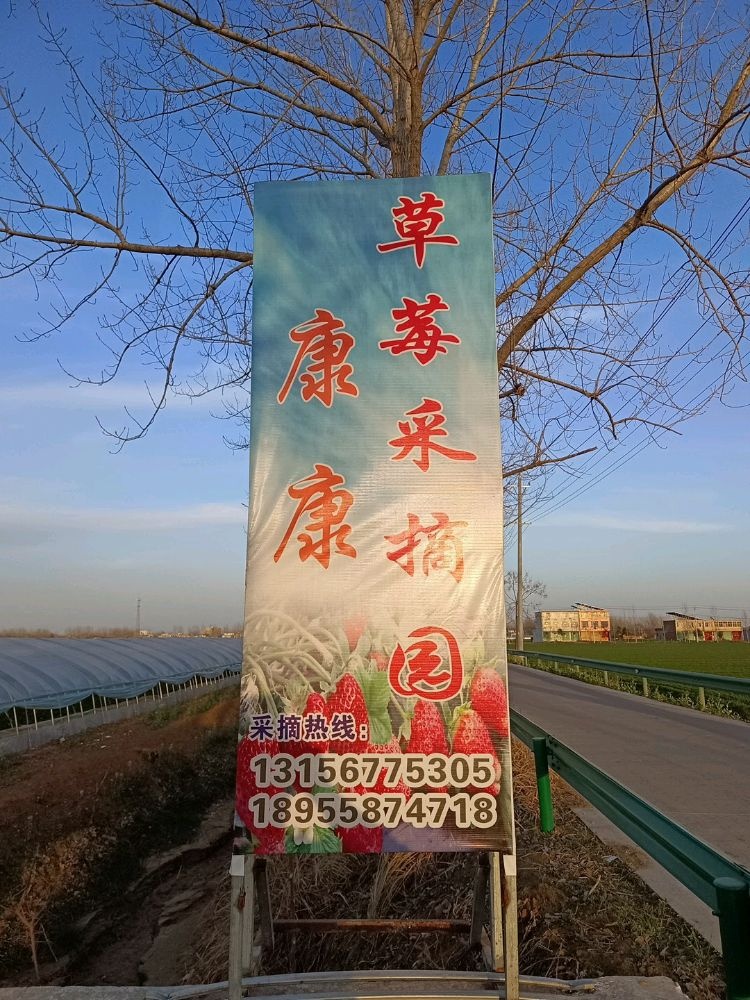 康康草莓采摘园