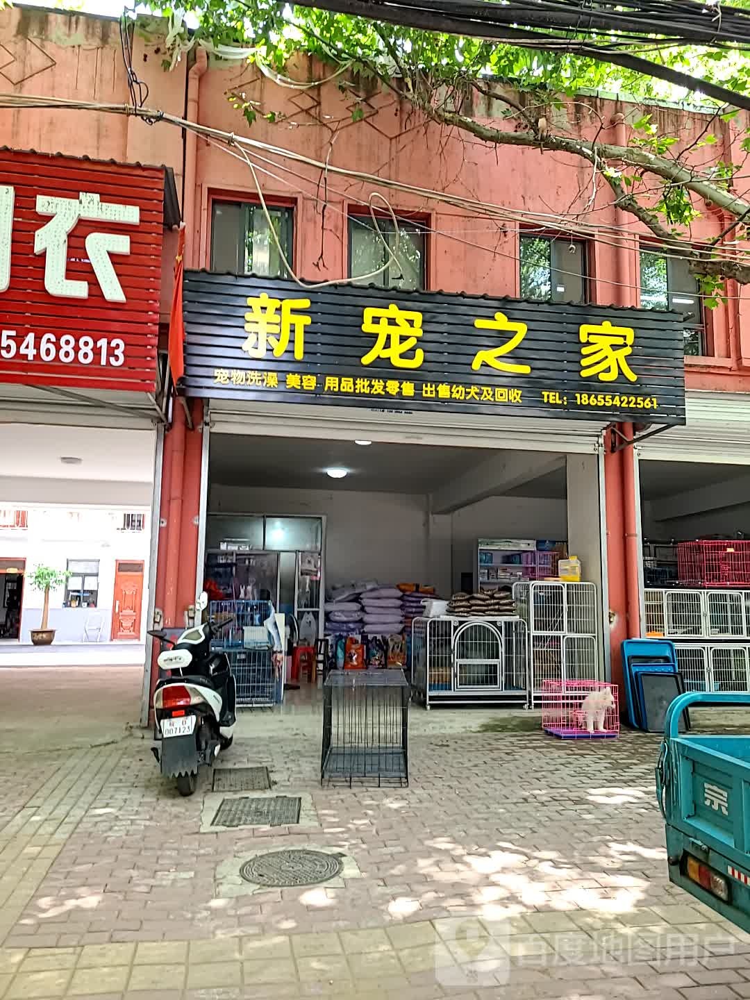新宠之家