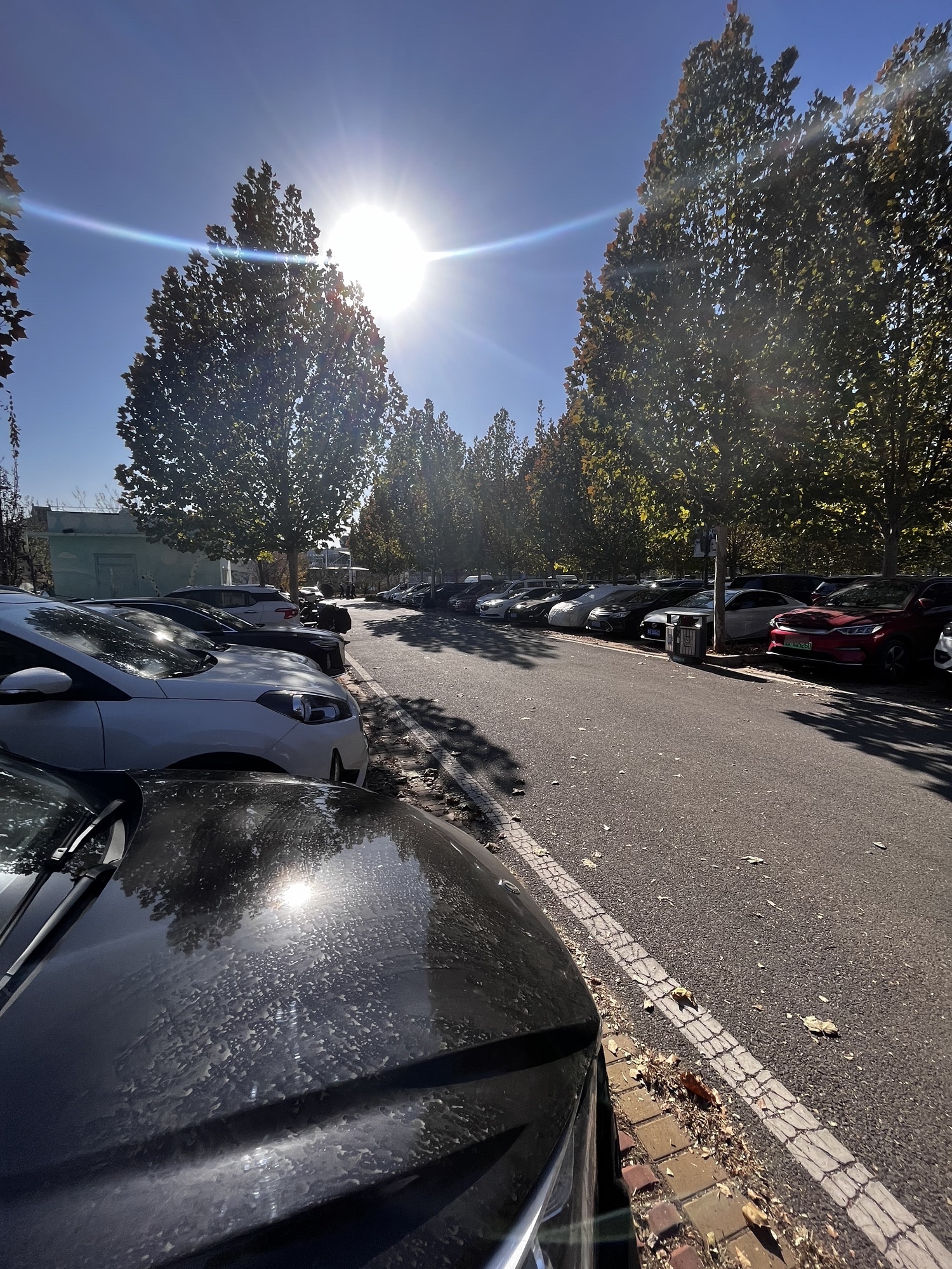 乐多港·卡乐星球