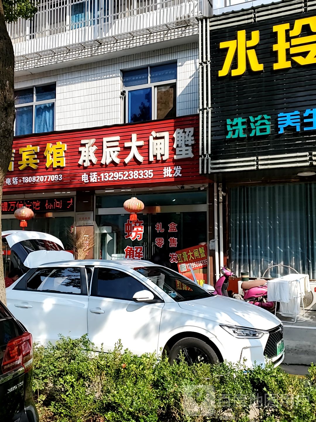 辰大闸蟹批fa