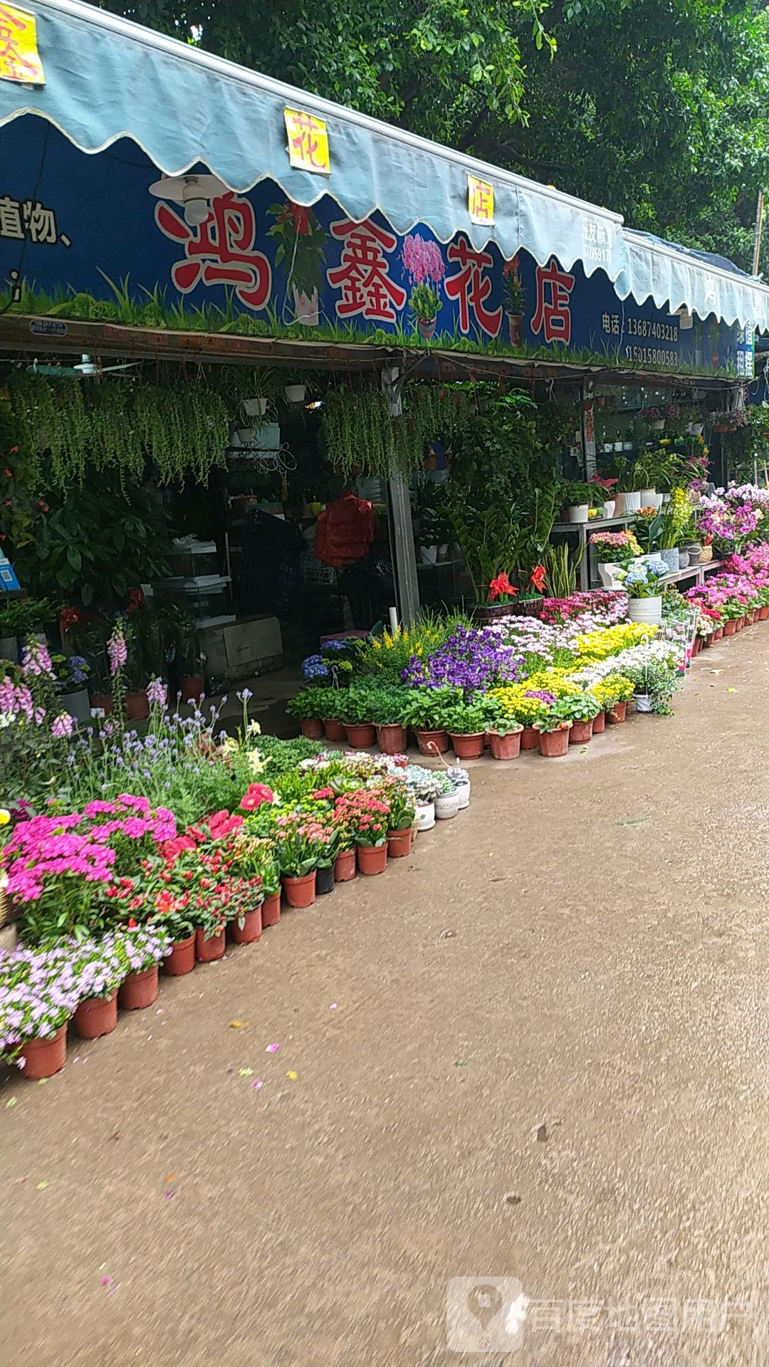 鸿鑫花店