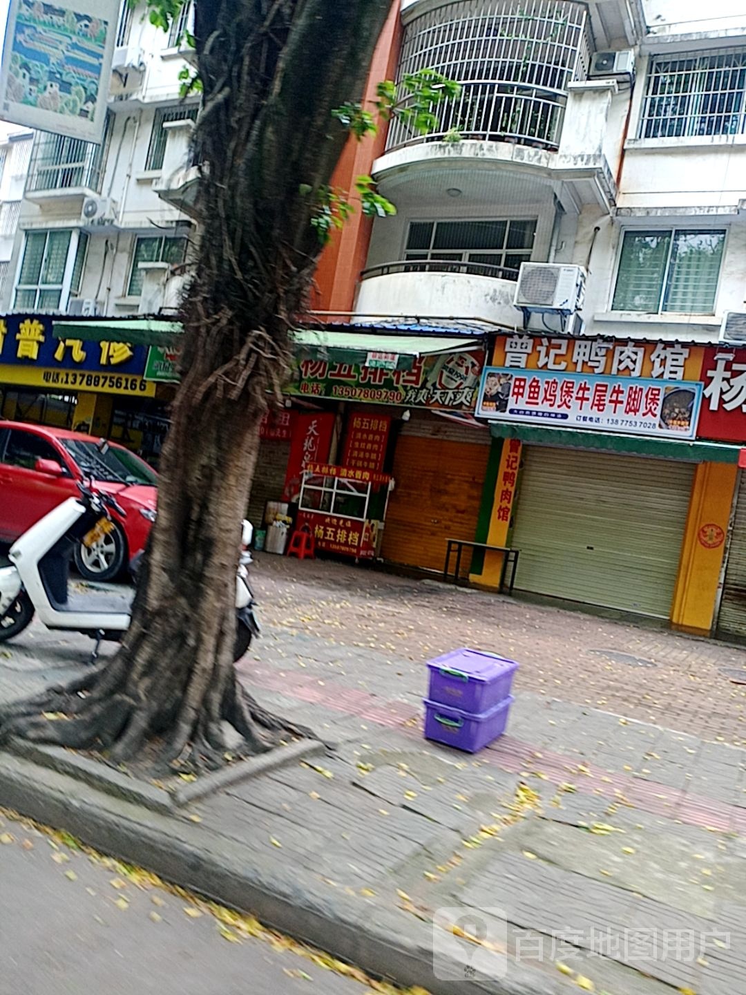 甲鱼鸡煲牛尾牛角煲