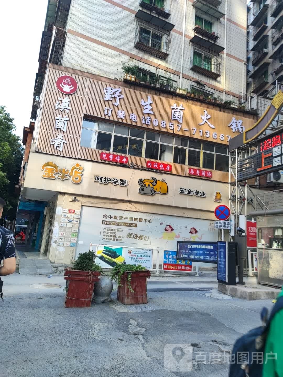 滇菌肴野生菌火锅