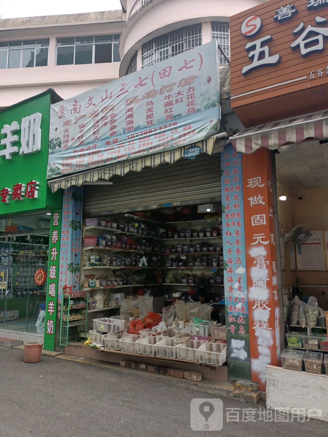 云南文山三七(田七)