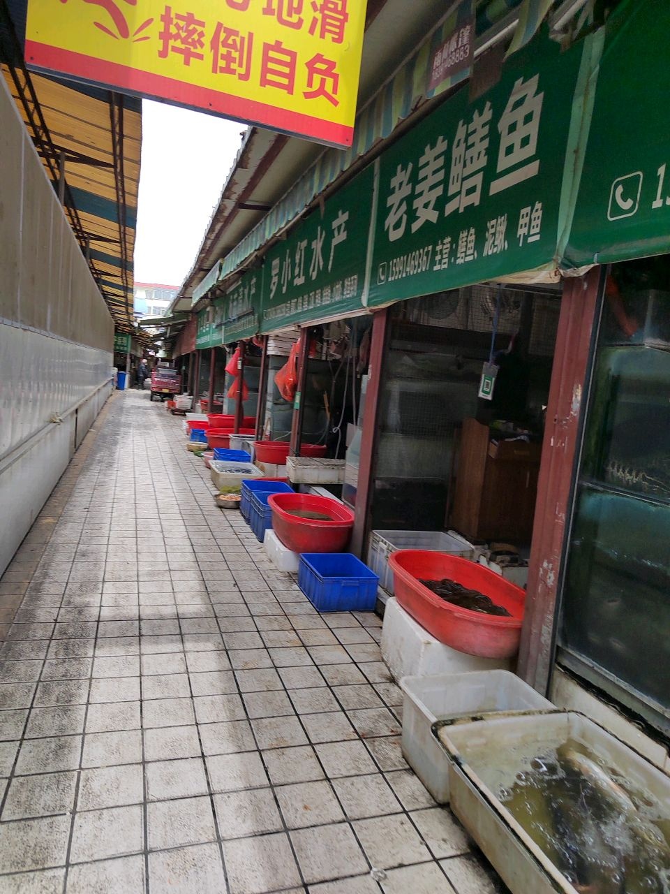 罗小红水产