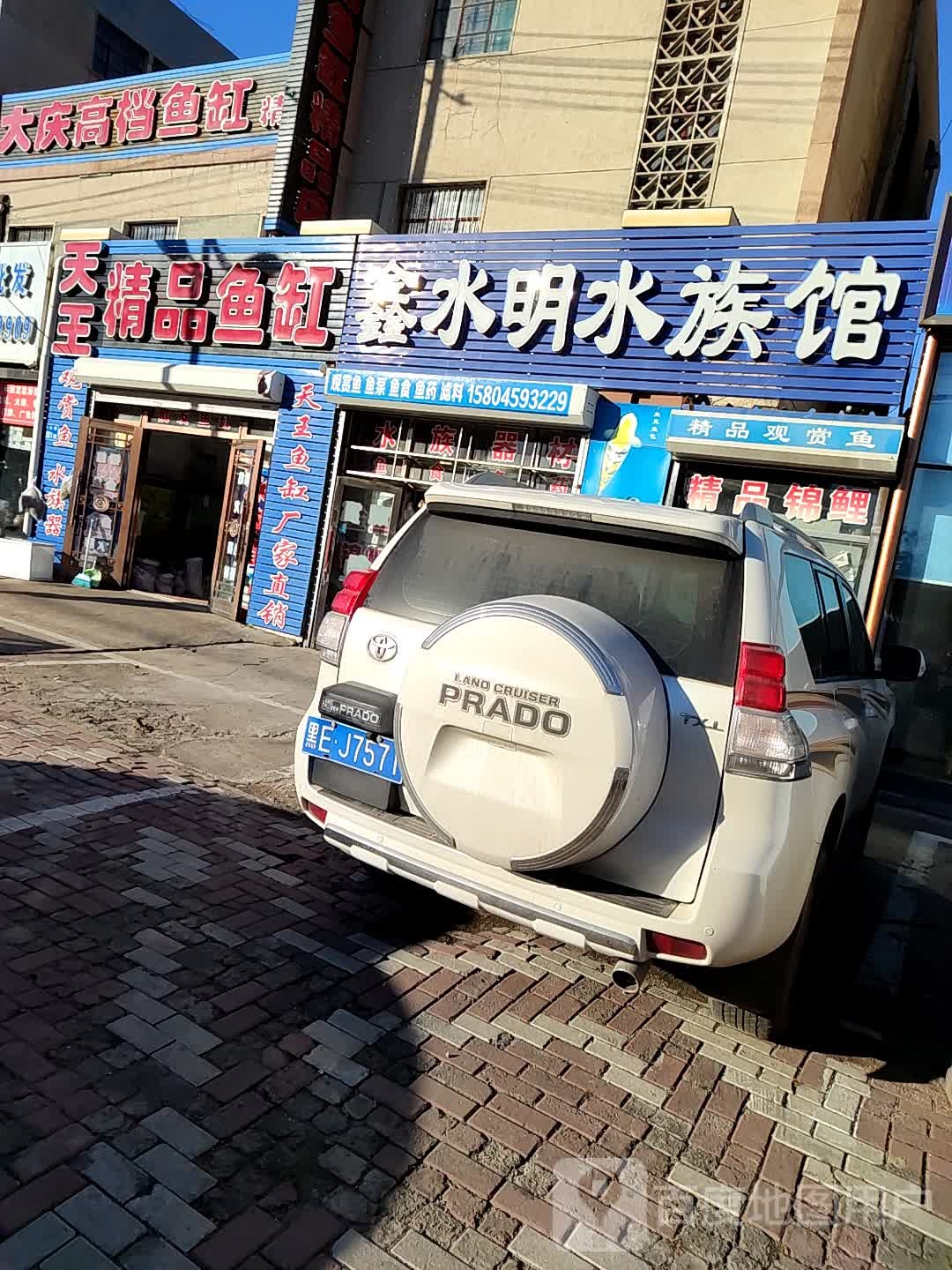 鑫水明水族馆