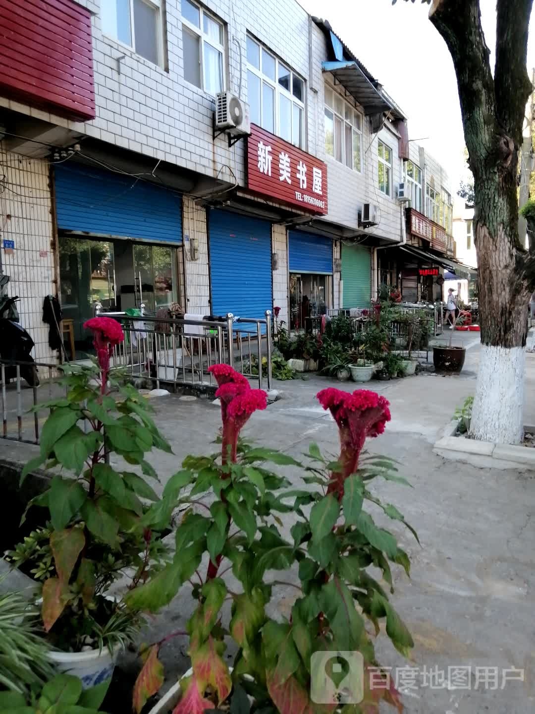 新美书店