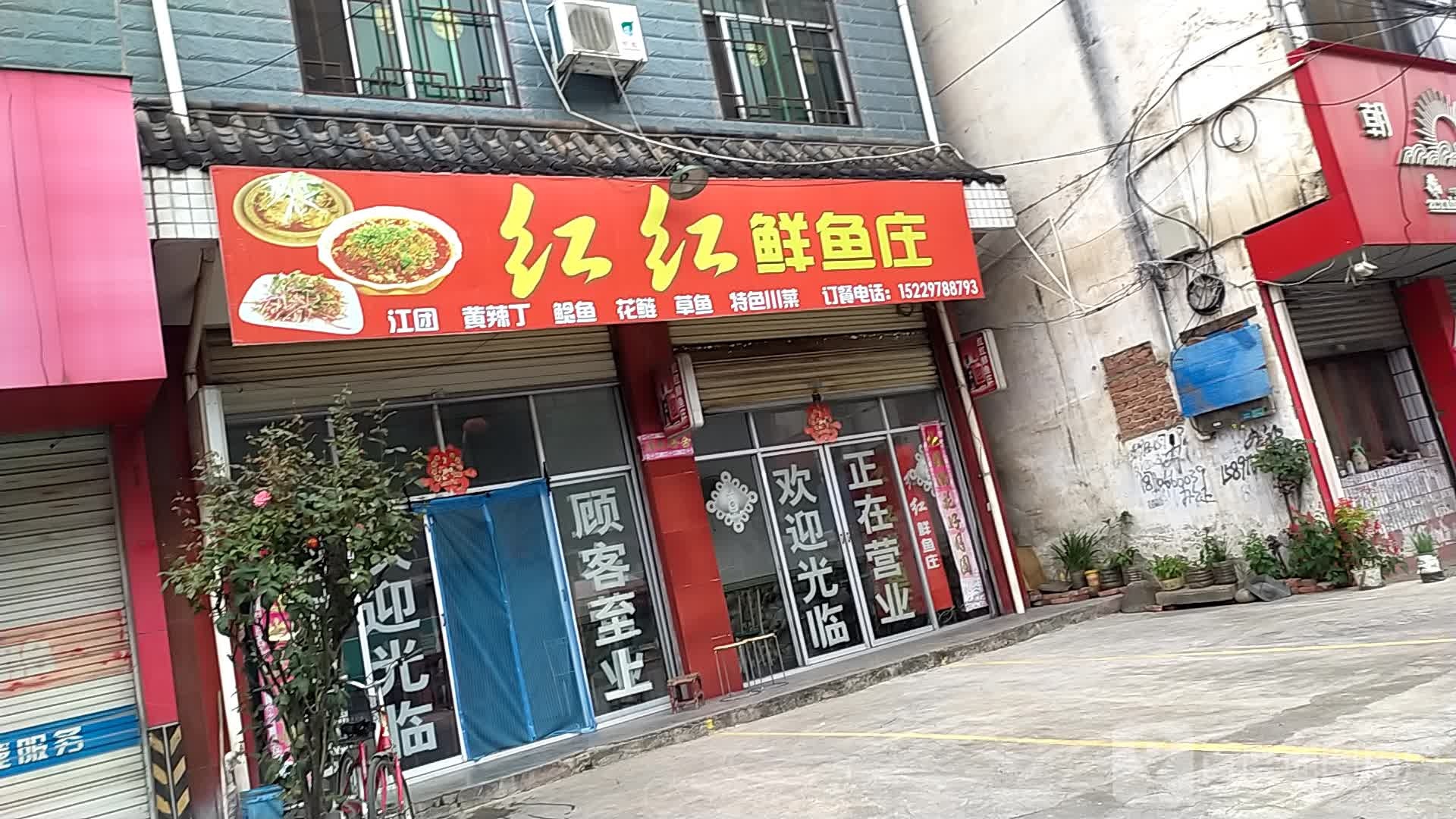 和平鲜鱼庄