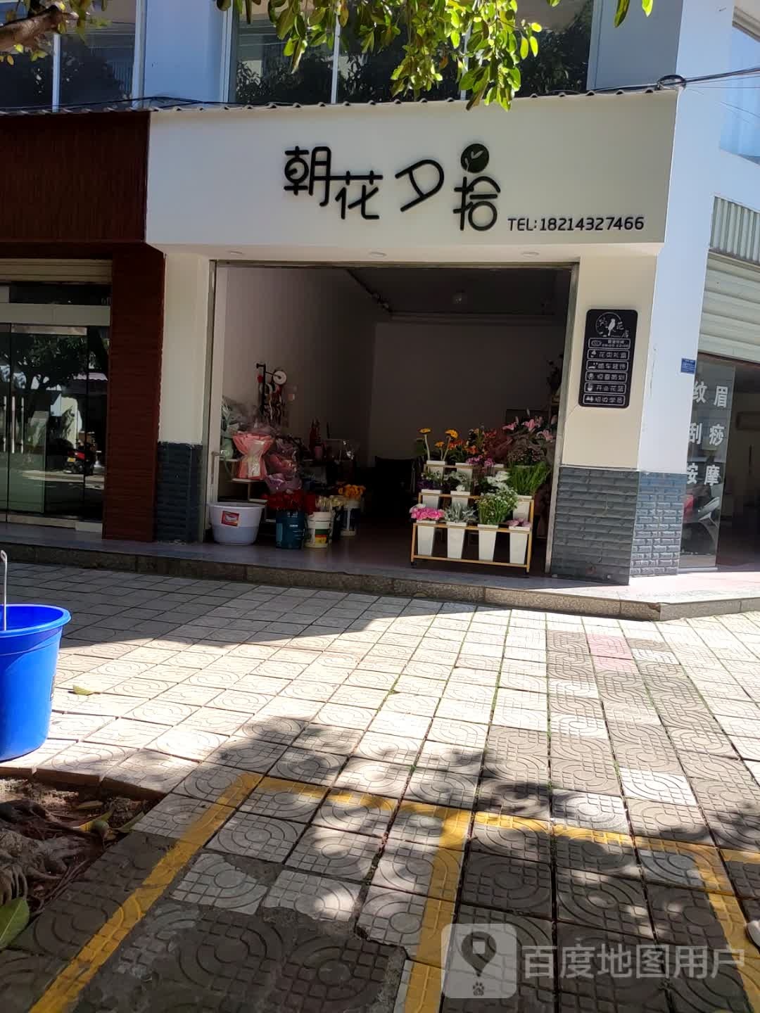 朝花夕拾