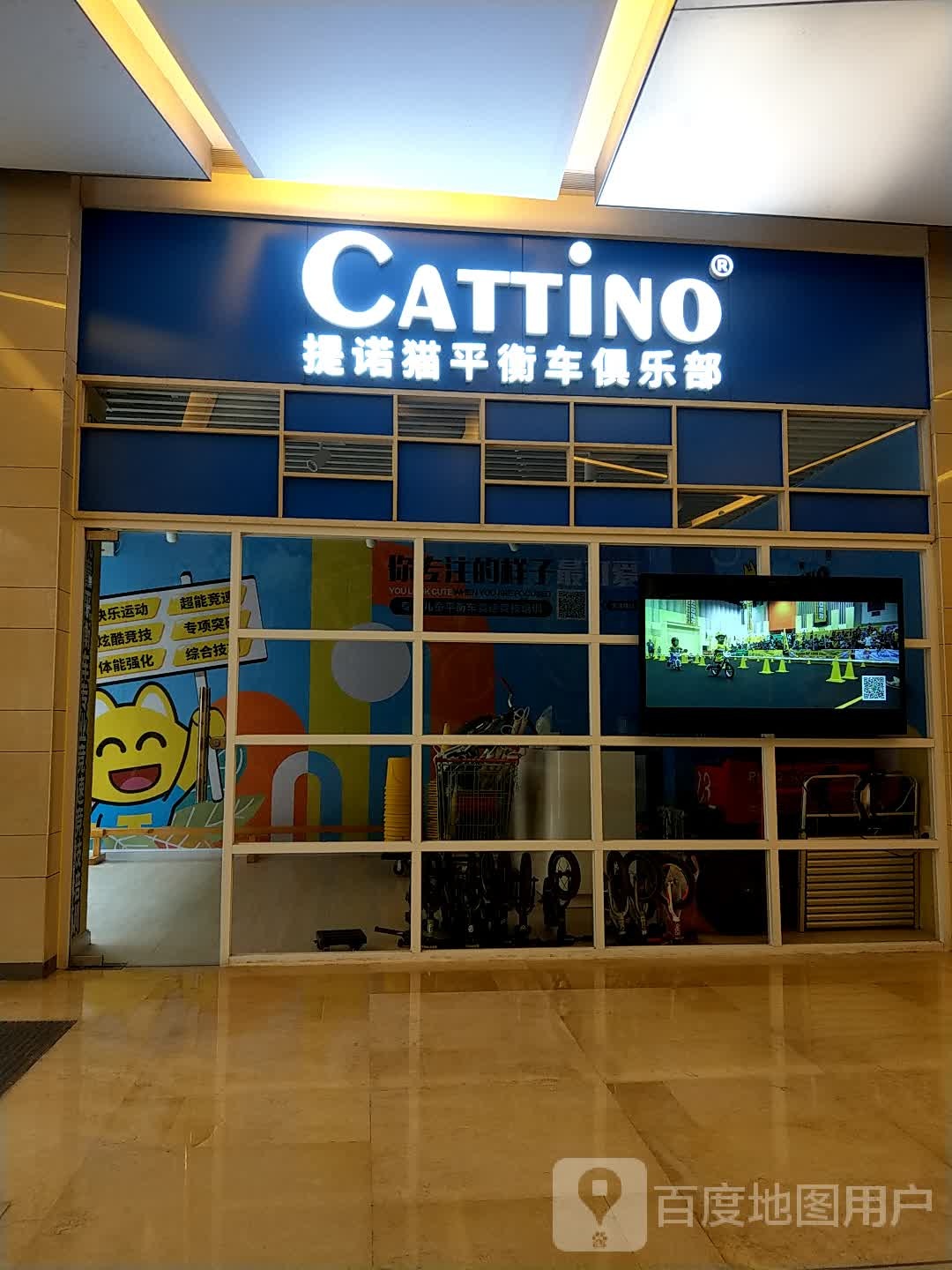 提诺猫平衡车俱乐部