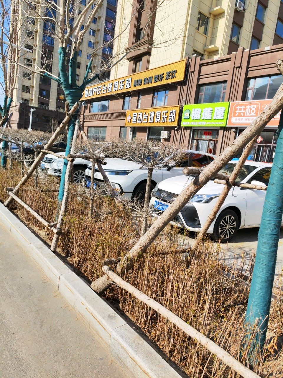 星动乔氏台球俱乐部