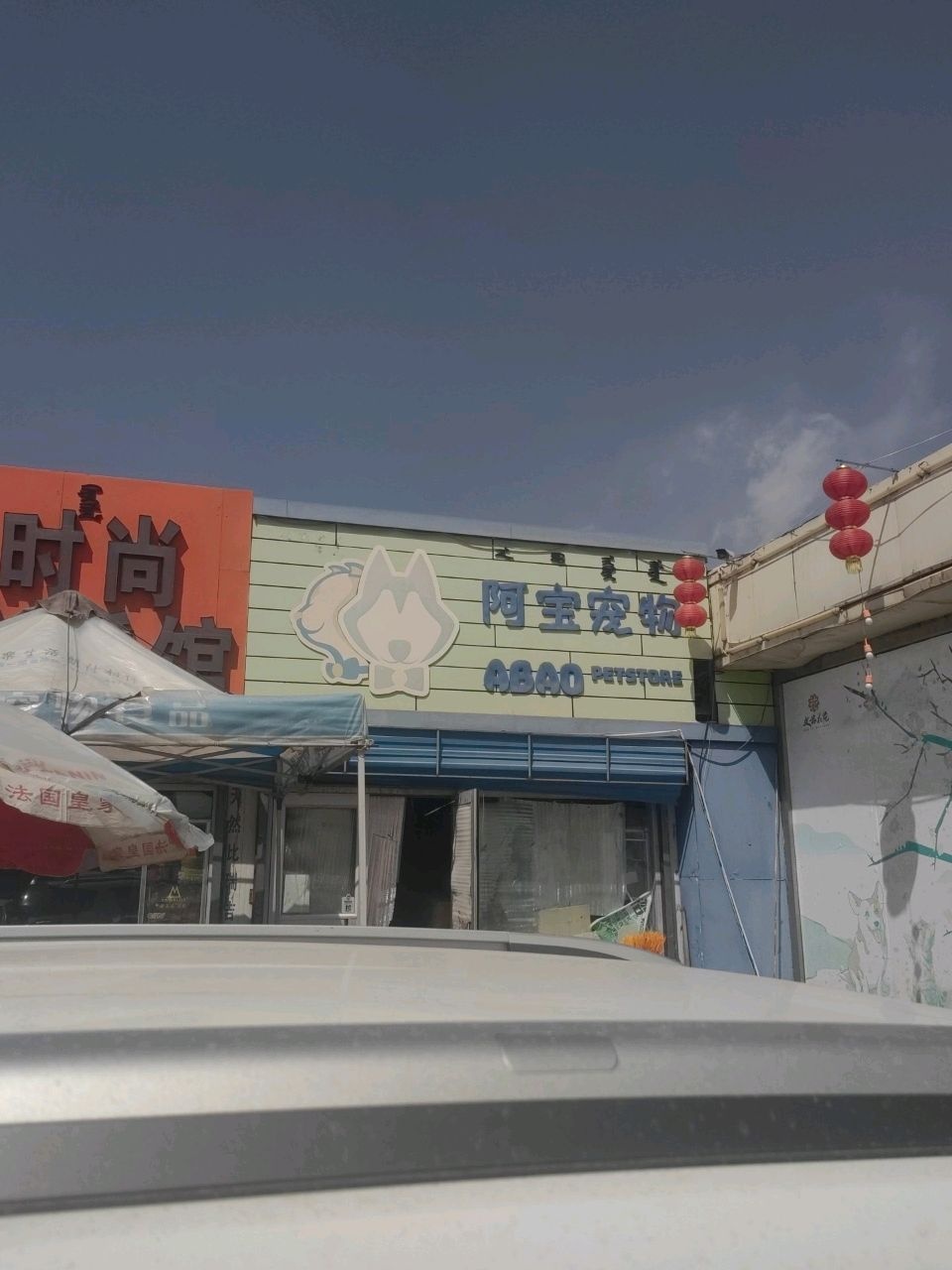 宝阿阶辑宠物(青年路店)
