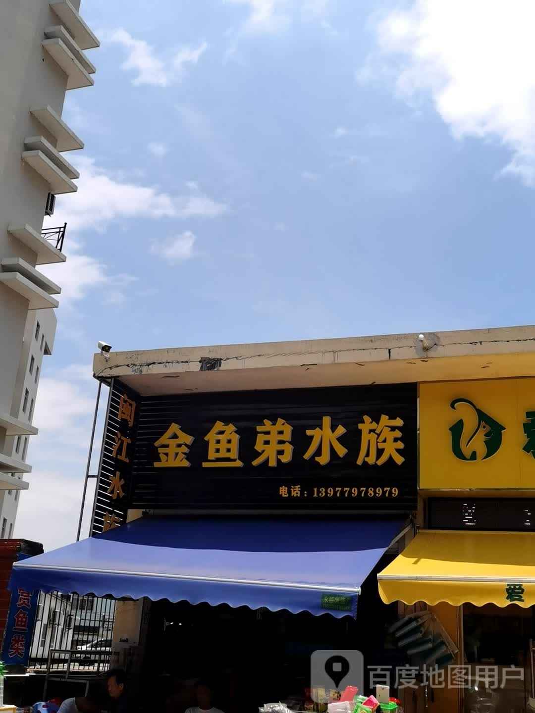 金鱼弟水族