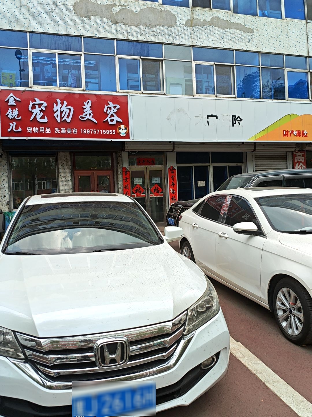 金锐儿宠物美容