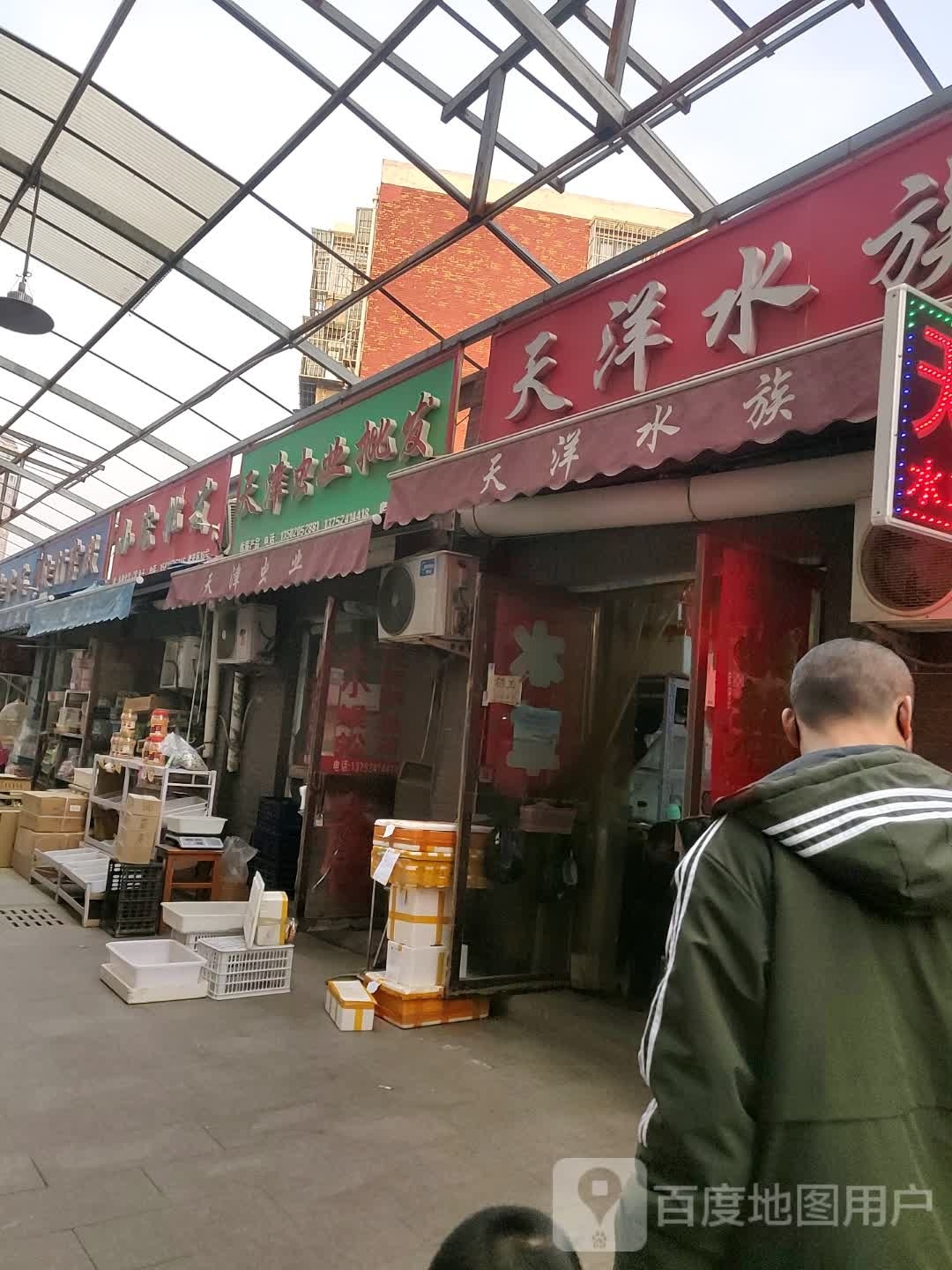 天洋水zu(普济河桥花鸟鱼虫市场店)