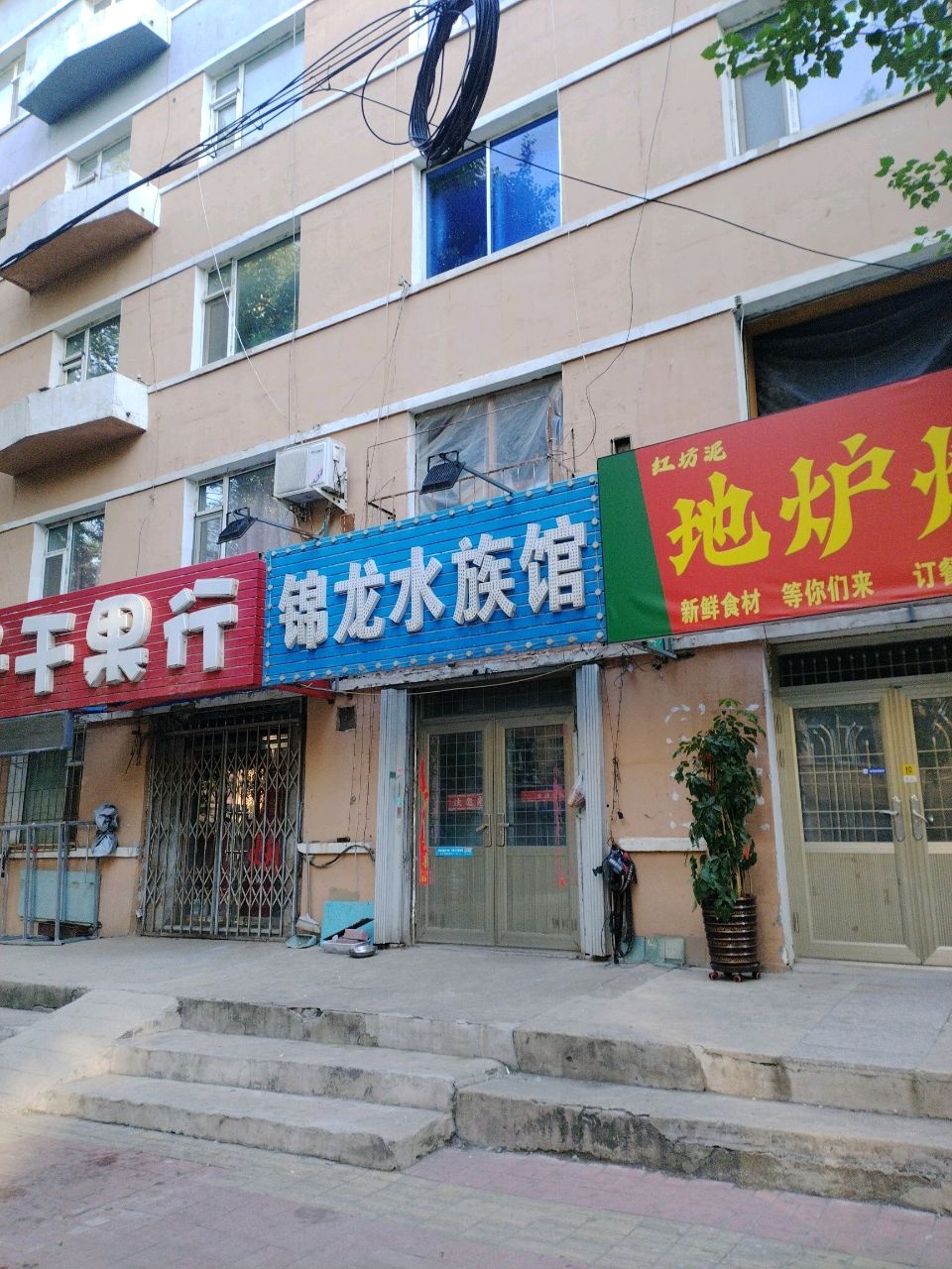 锦龙水族馆(盛华苑店)