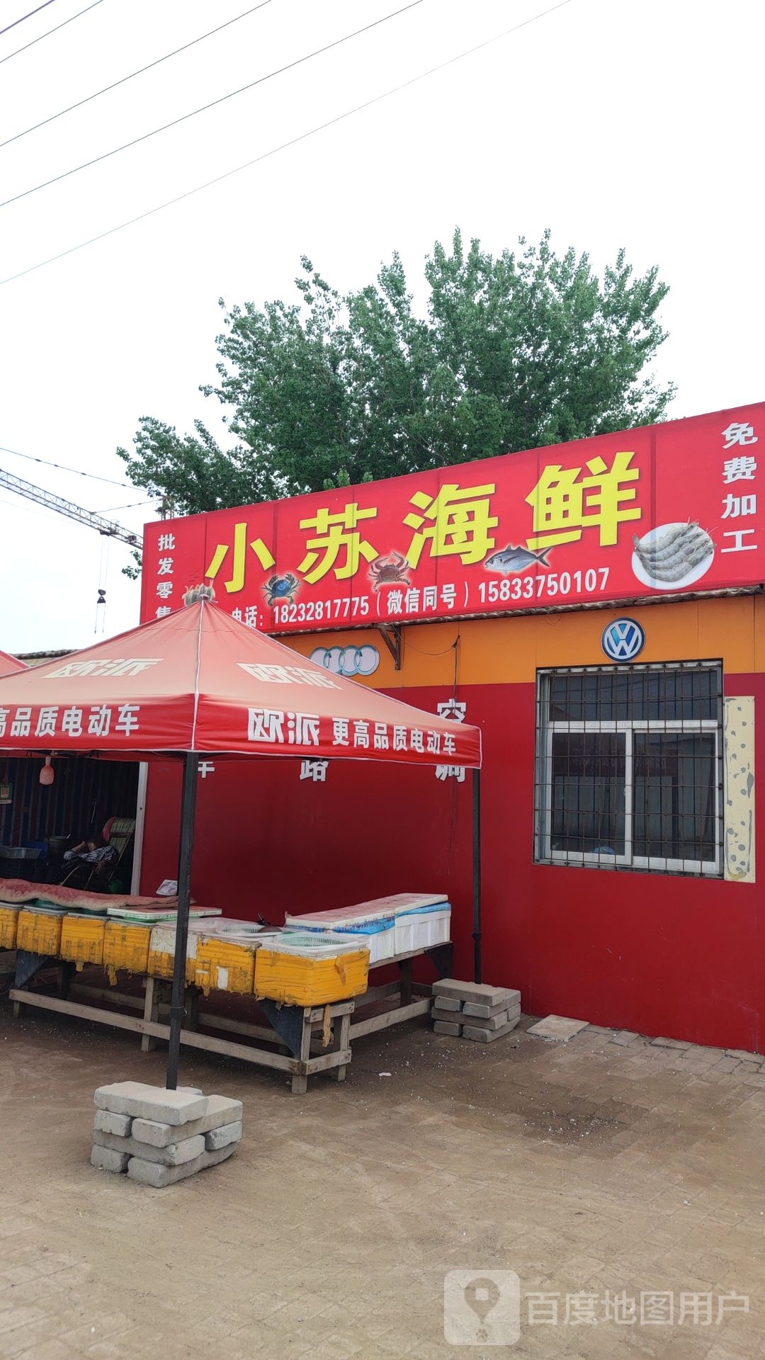 小苏海信
