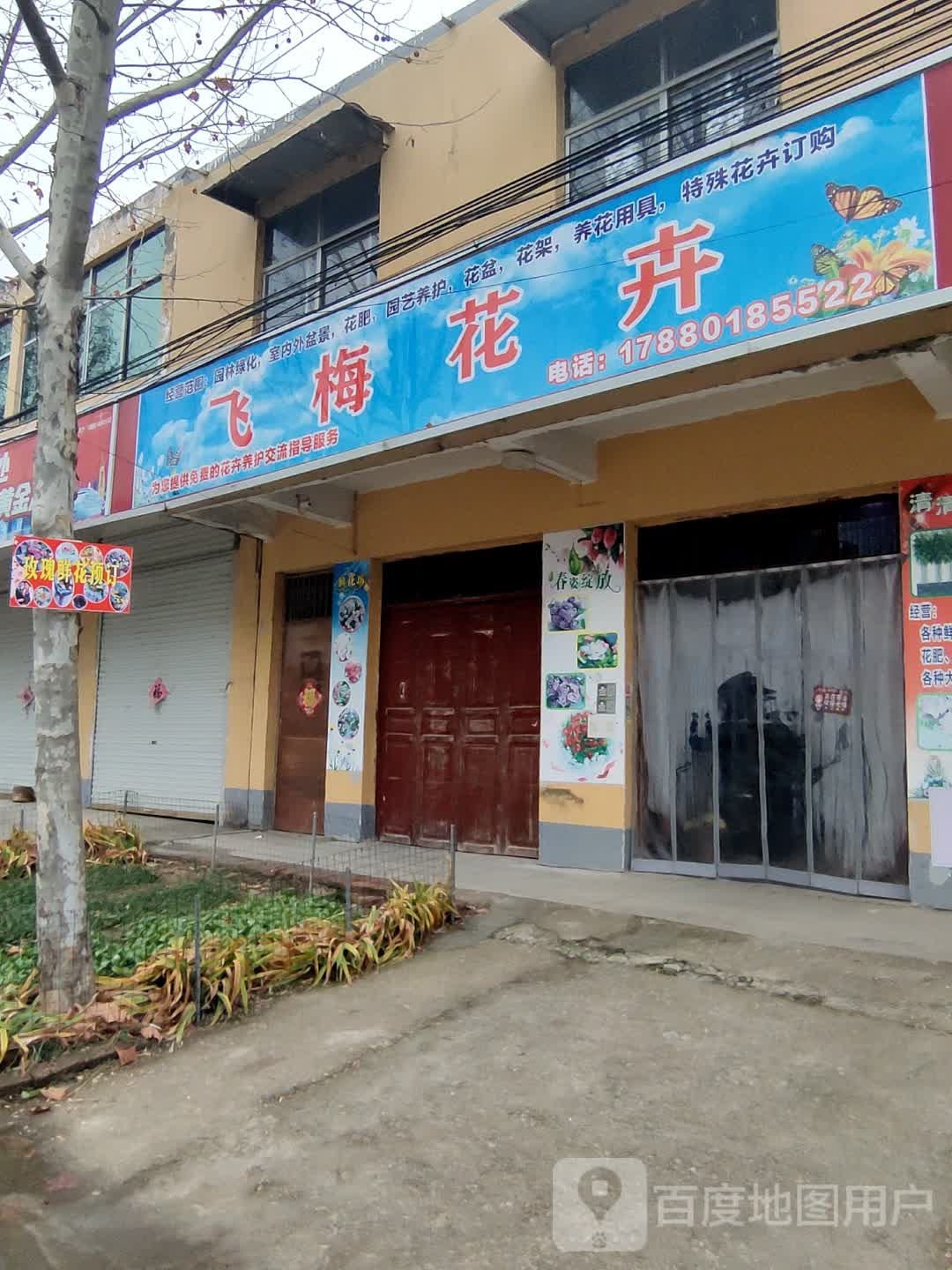飞梅花卉