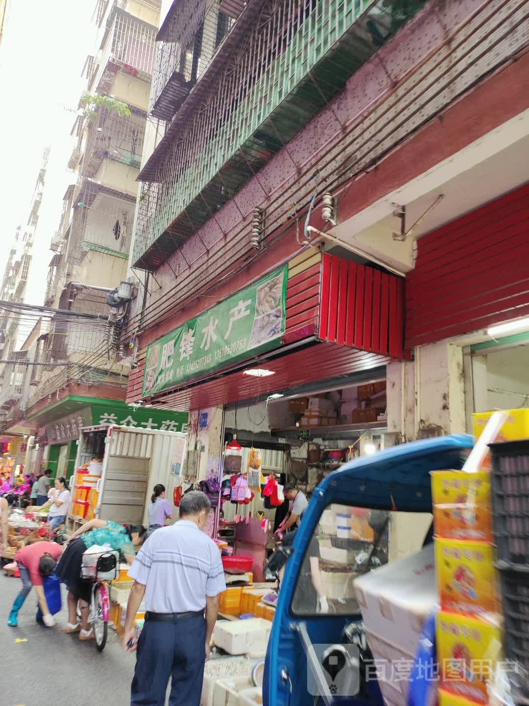 肥锋水产