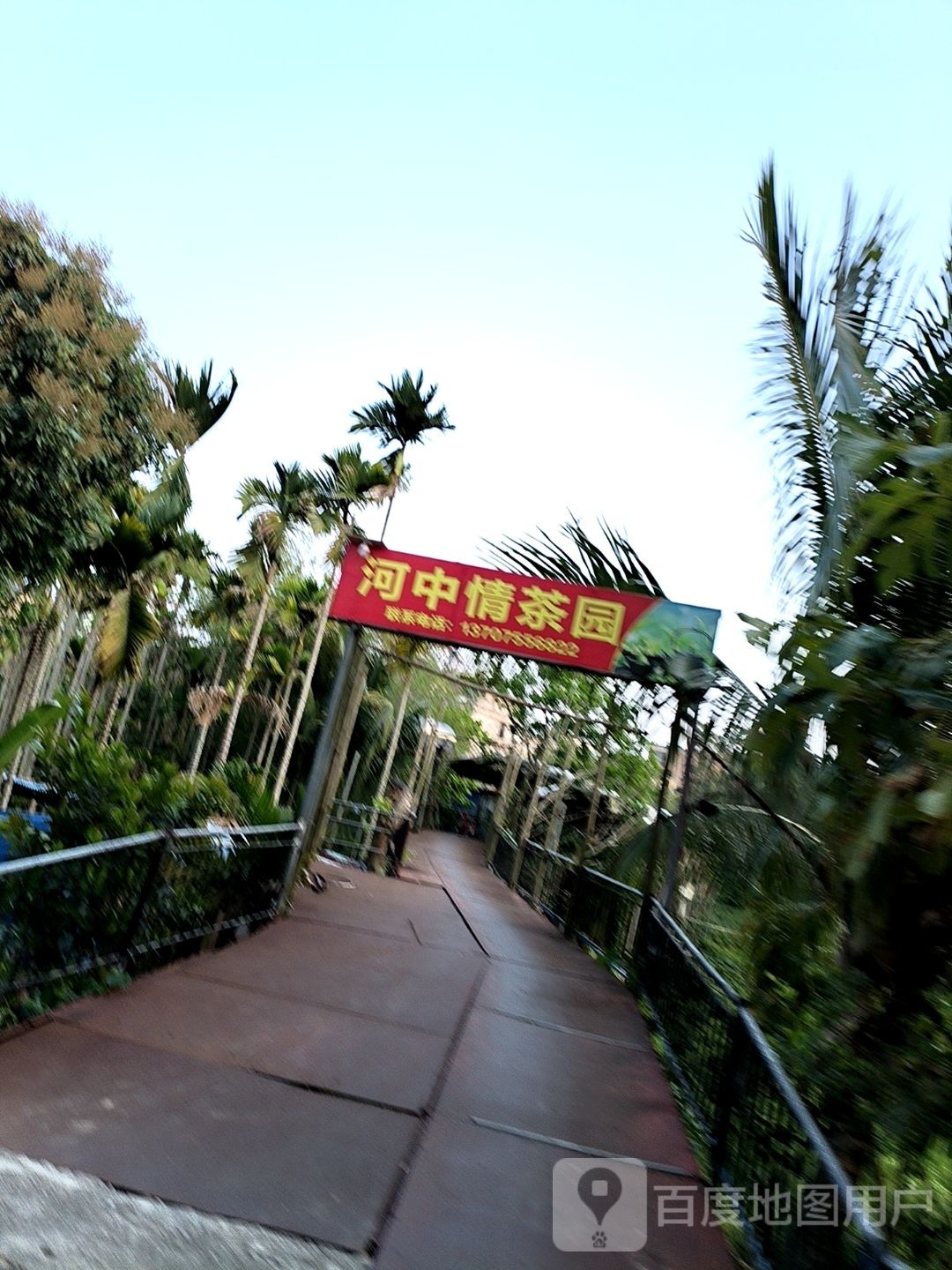 河中情茶园