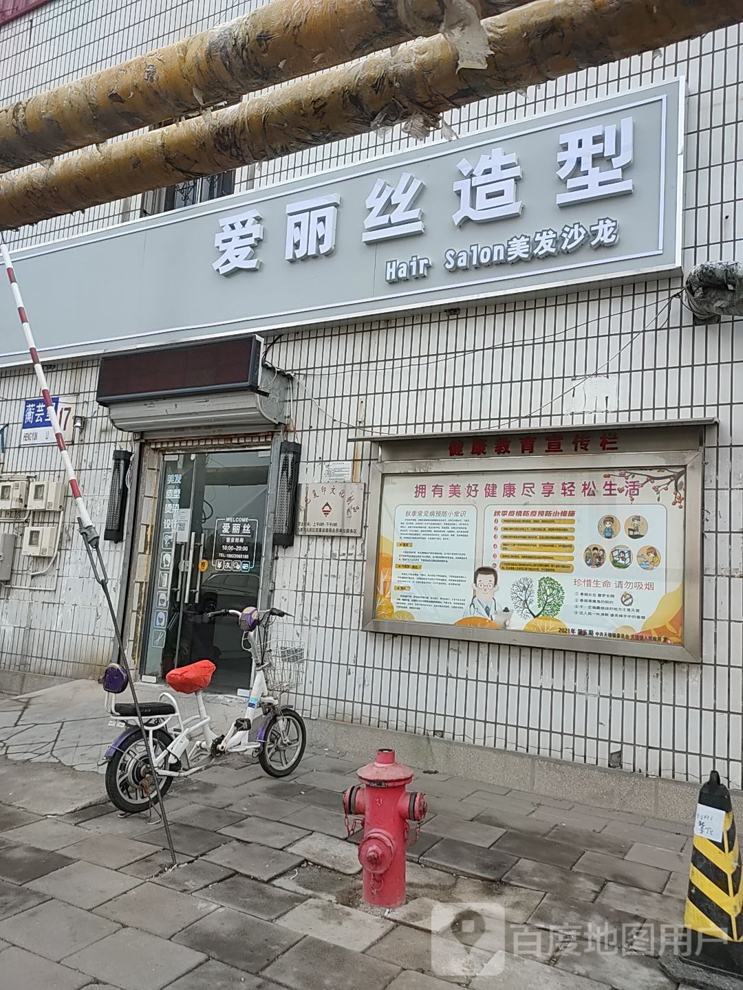 爱丽斯造型