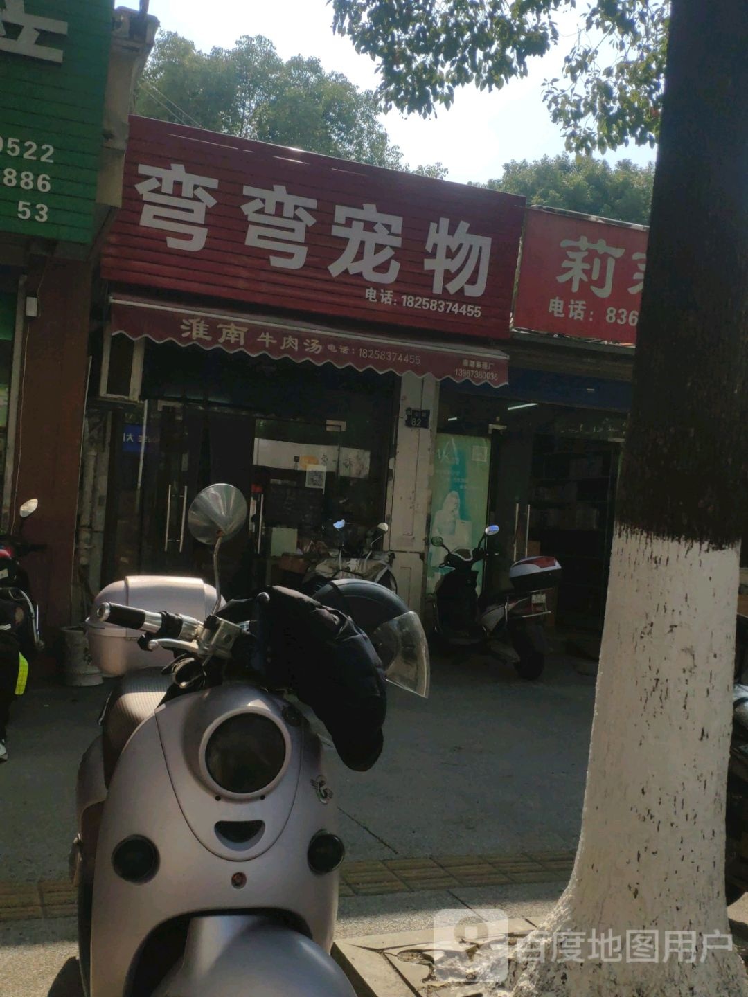 弯弯宠物