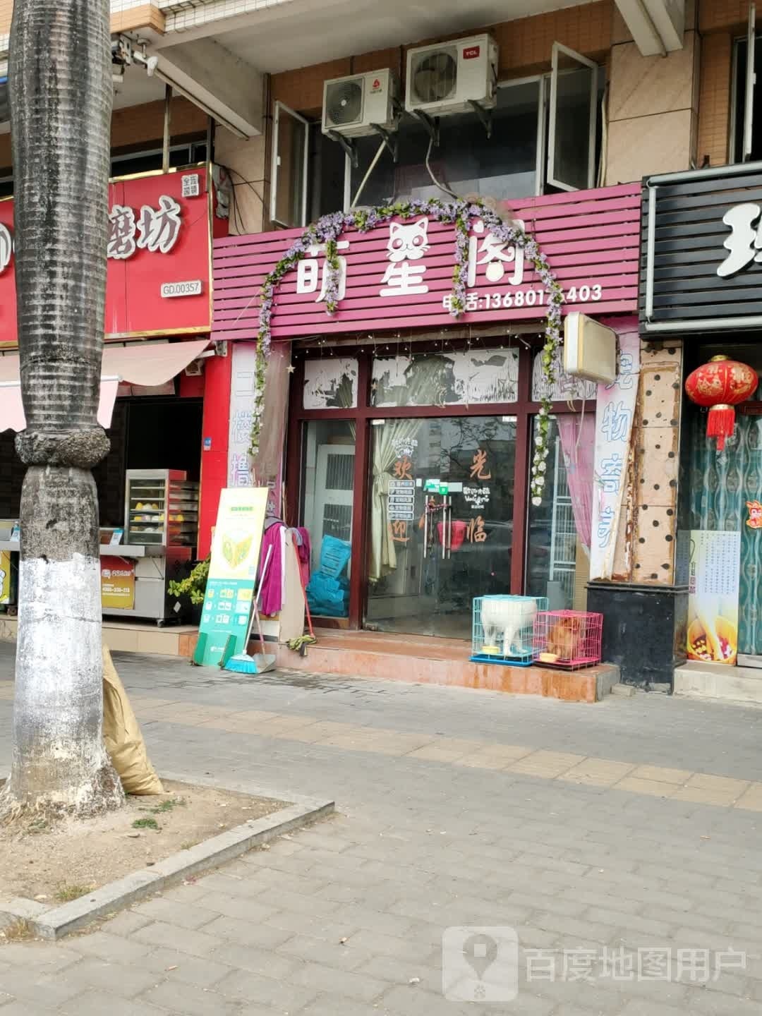 萌星阁宠物店