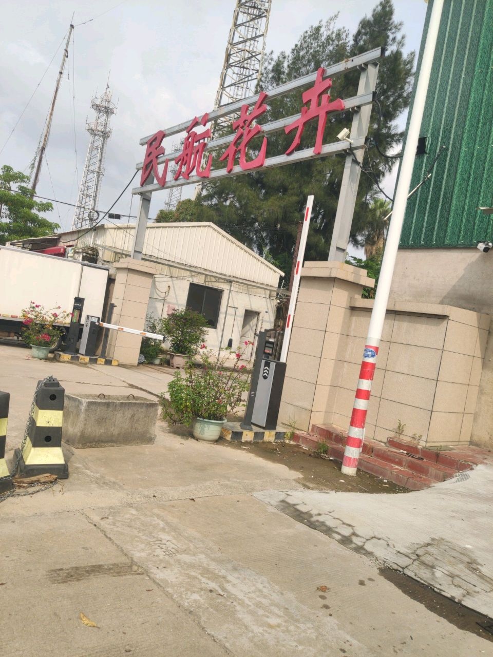 民航花卉