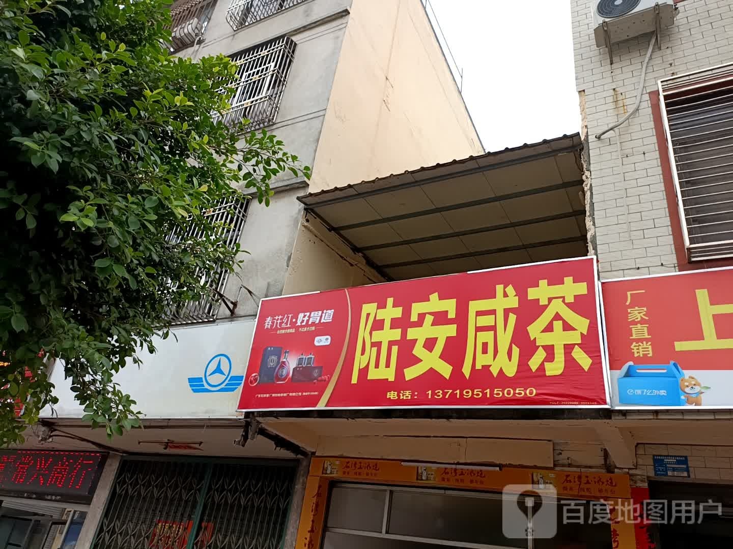 陆安咸茶
