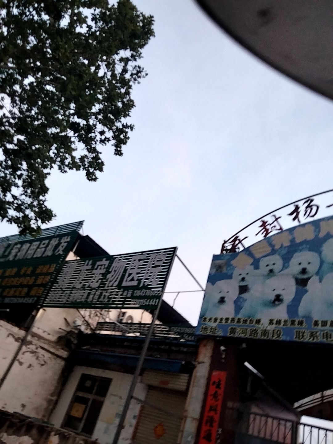 开封杨丰宠物乐园