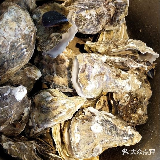 微海鲜生蚝自助(城关店)