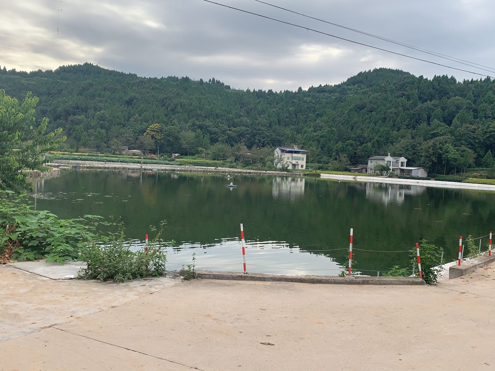 何家湾生态垂钓园