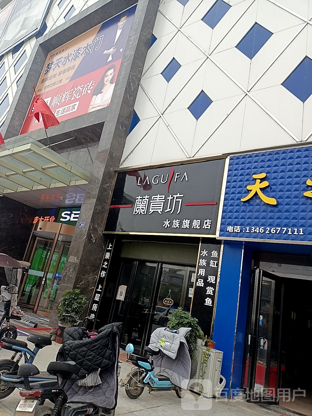 兰贵坊水族旗舰店(水族旗舰店)