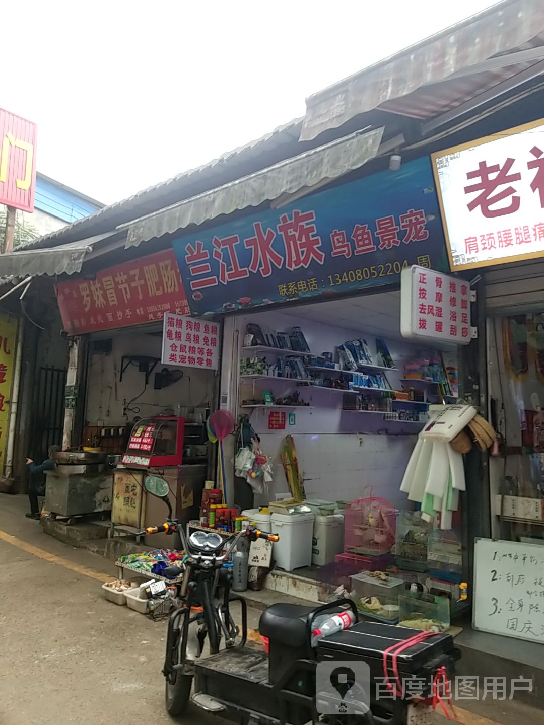 兰江水族鸟鱼景宠