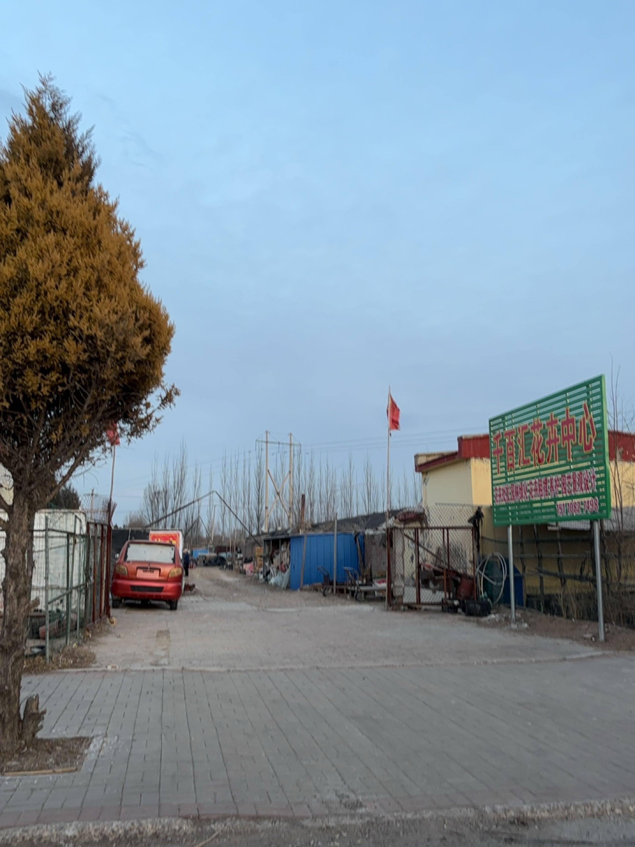 千百汇花卉中心