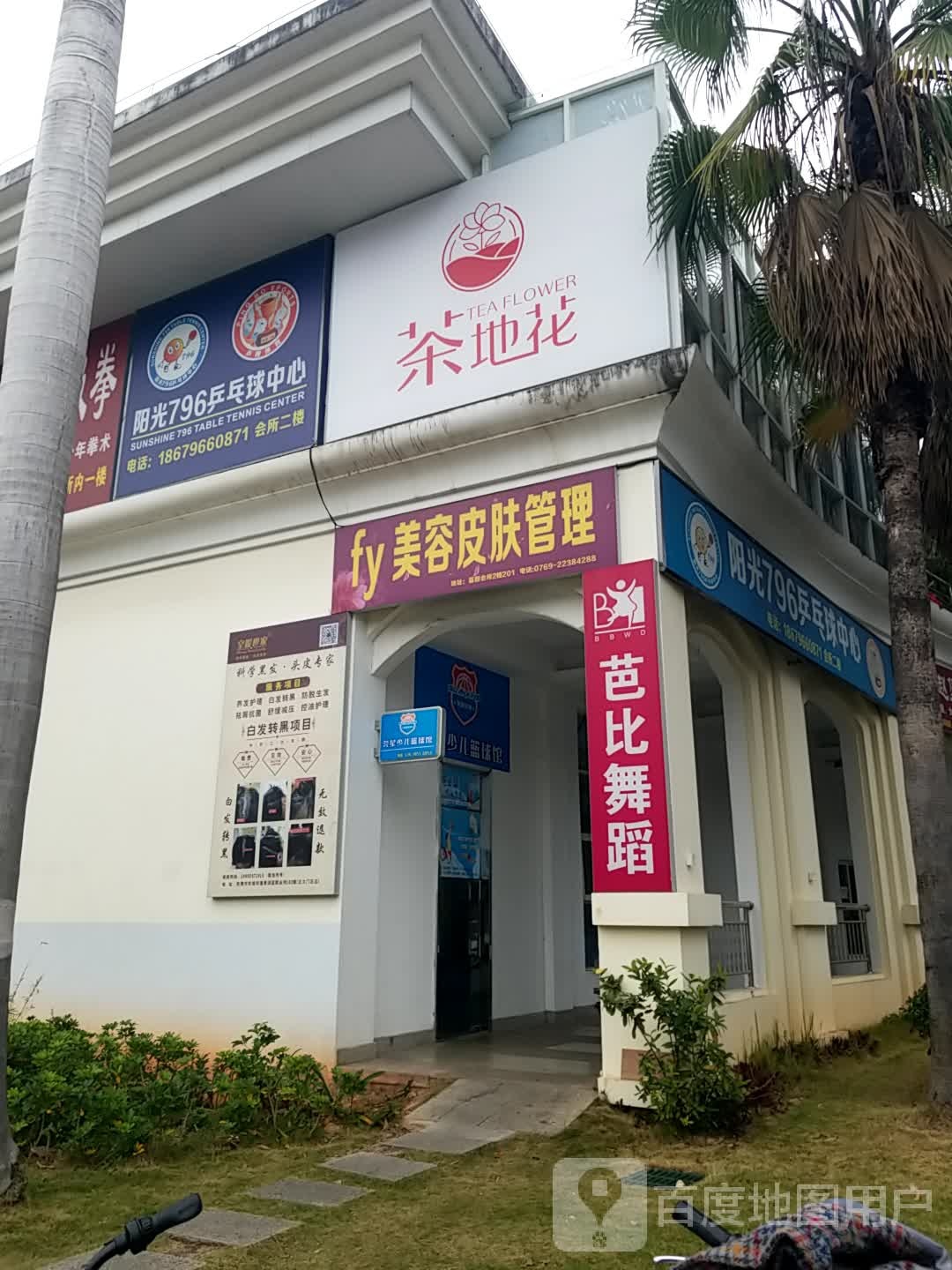 阳光796乒乓球培训中心(蓝郡店)