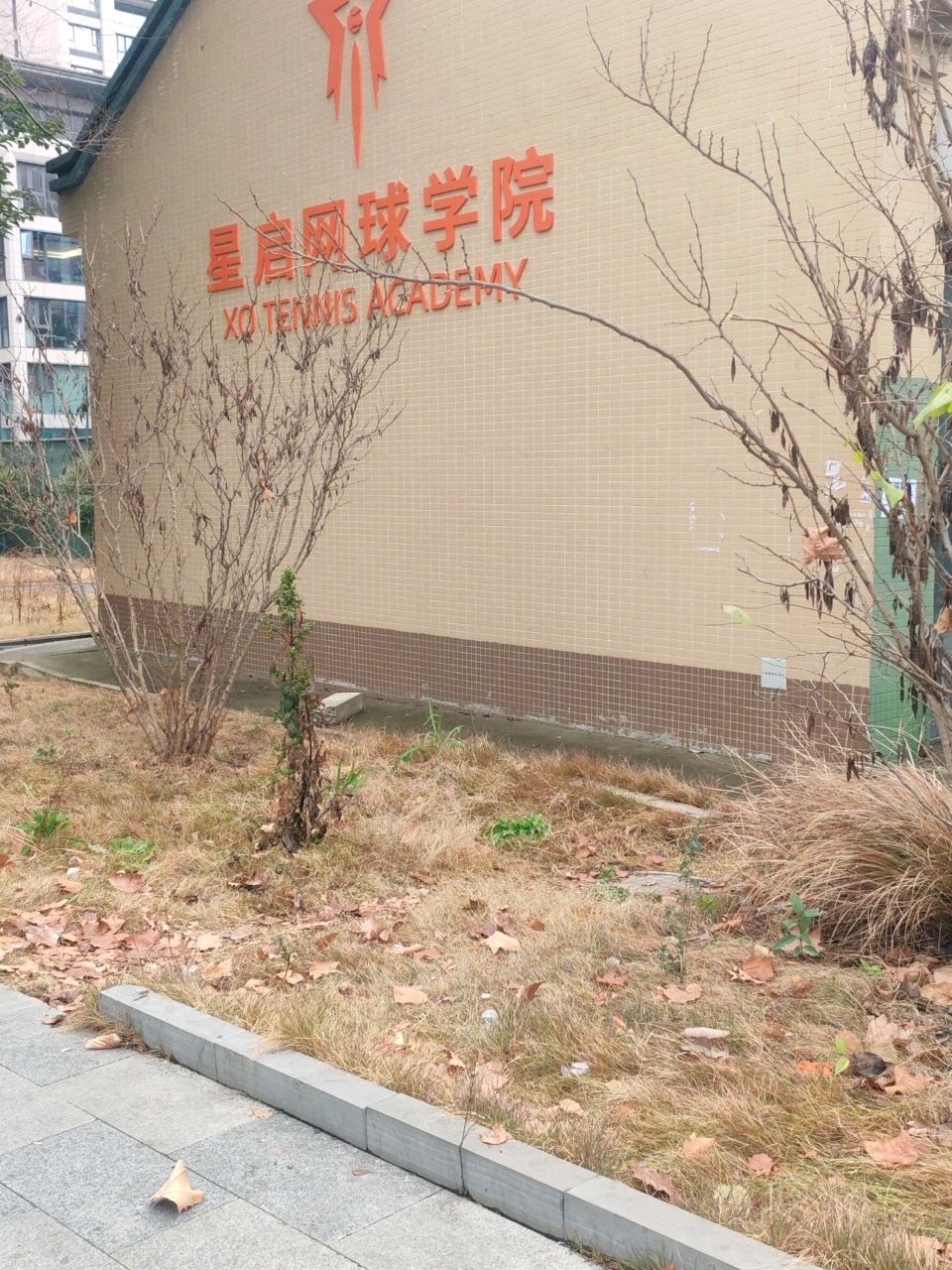 星启网球学院(528校区)